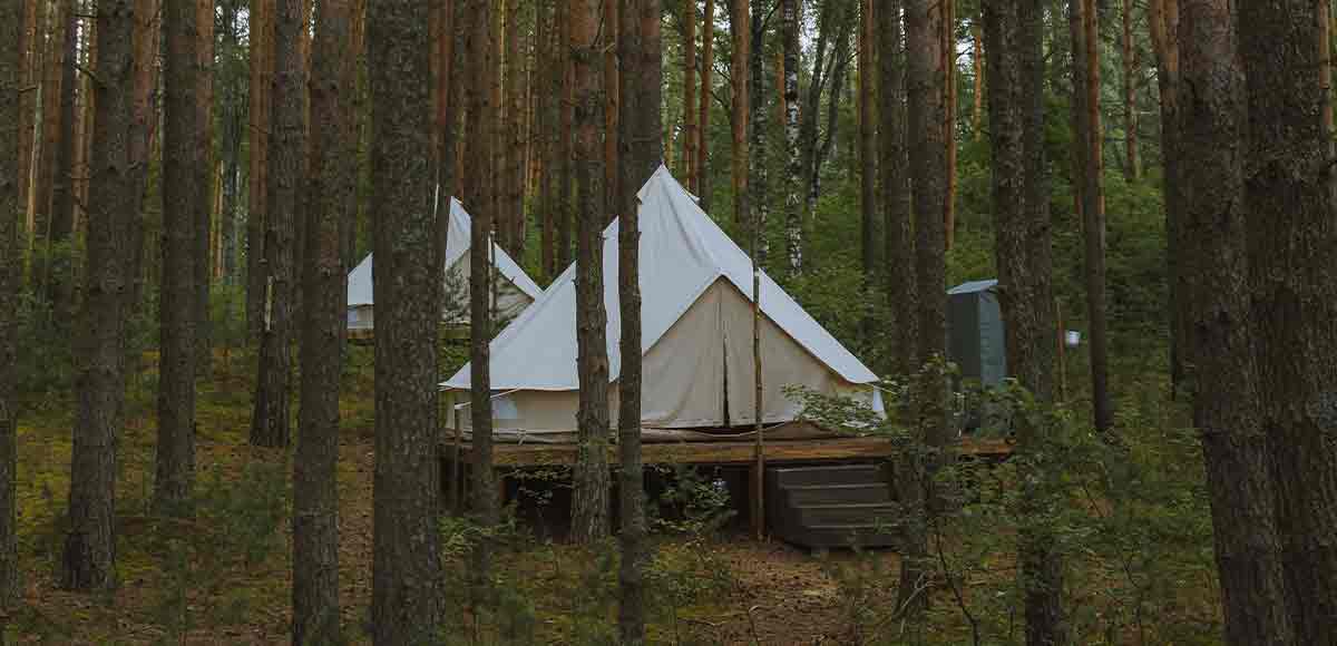 Varias tiendas de campaña Tipi situadas entre los largos altos árboles de un bonito bosque