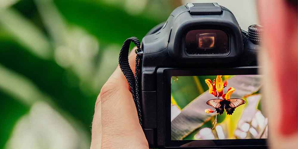 Un curso de fotografía es ideal para quienes buscan regalos para parejas artísticas