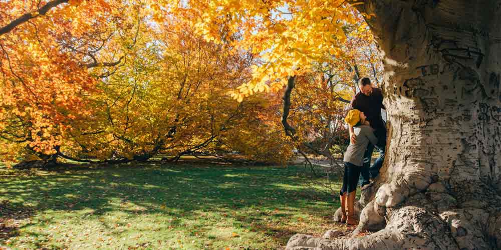 Para las parejas amantes de la naturaleza y la flora, uno de los regalos para parejas más significativos e impresionantes es un paseo por el Jardín Botánico de Madrid