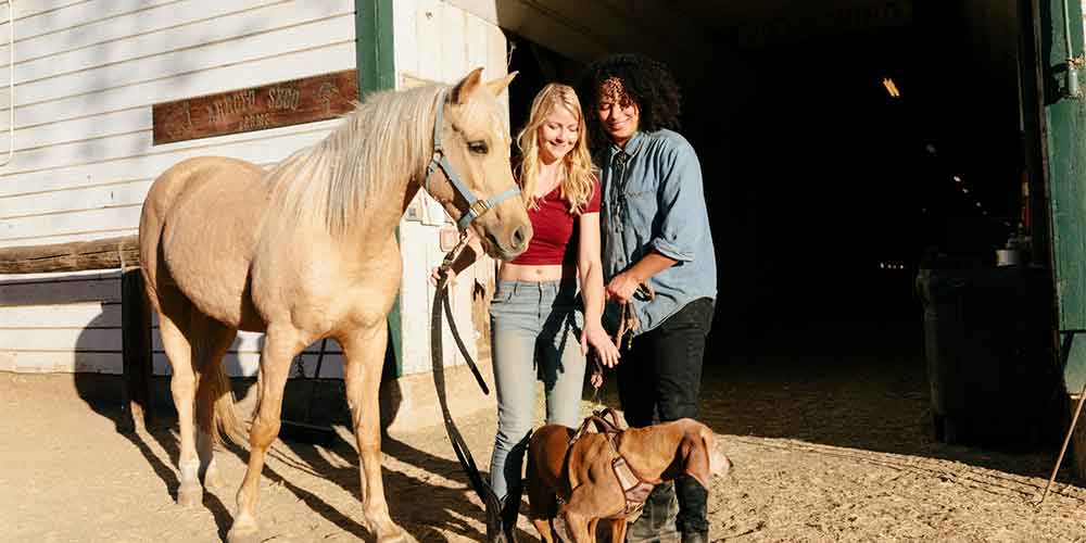 Una visita a una granja ecológica es sin duda uno de los regalos para parejas más sorprendentes para los amantes de los animales y los entornos rurales